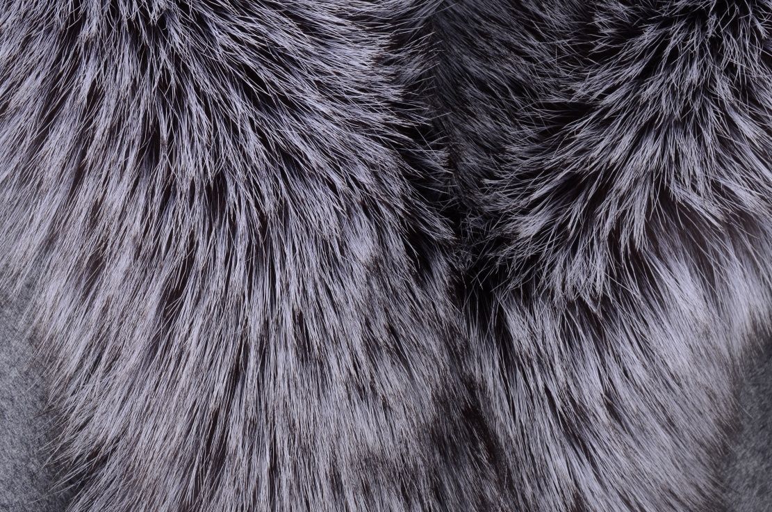 優しい雰囲気の大判カシミヤ