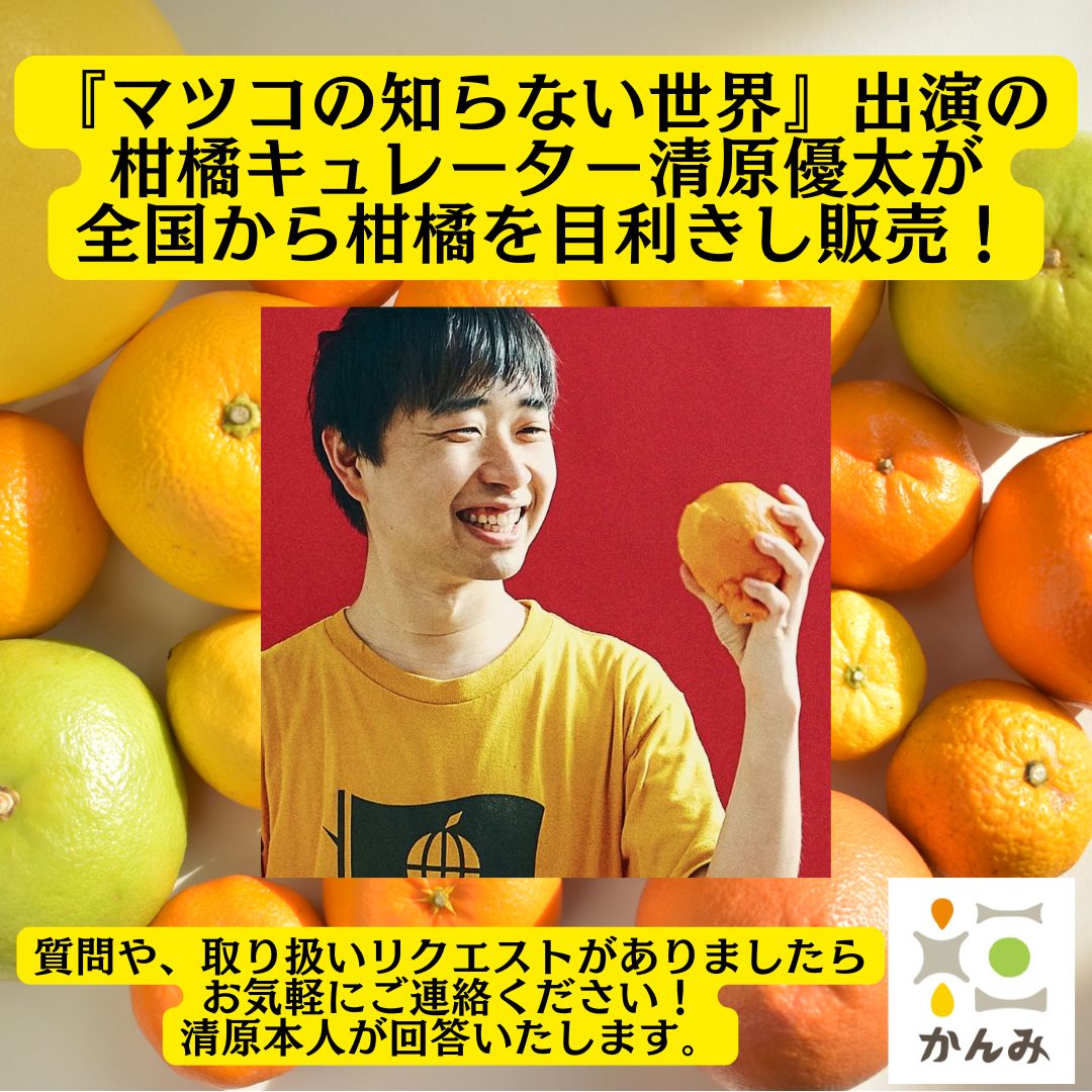 高知県産グレープフルーツ約4kg