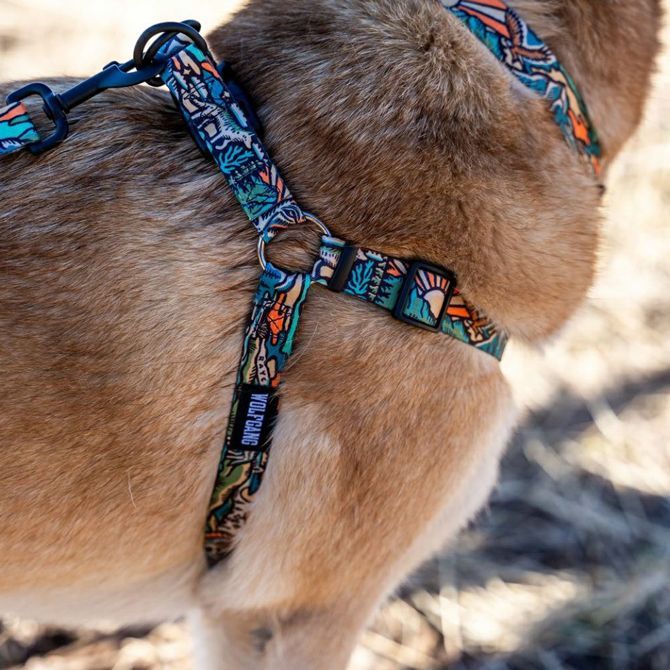 Harness ハーネス
