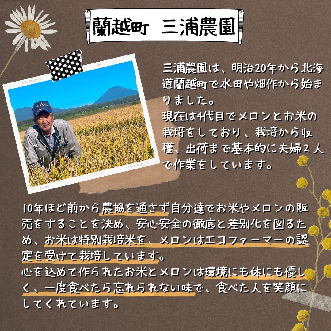 【令和6年・減農薬・特別栽培米】ななつぼし 10kg 北海道 蘭越産
