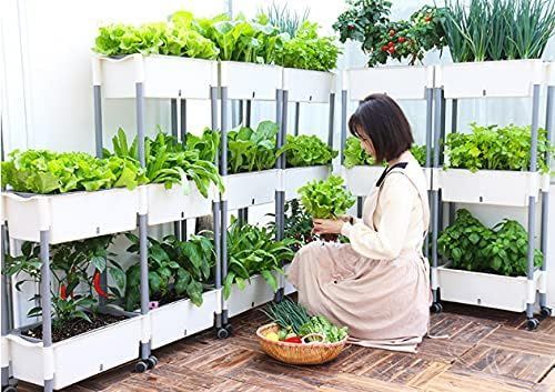 野菜栽培 室内栽培向け
