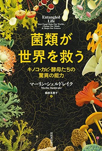 ⁄ 大鏡 (明解〈国語I・II〉古典シリーズ)(西谷元夫) 有朋堂 古本 古書