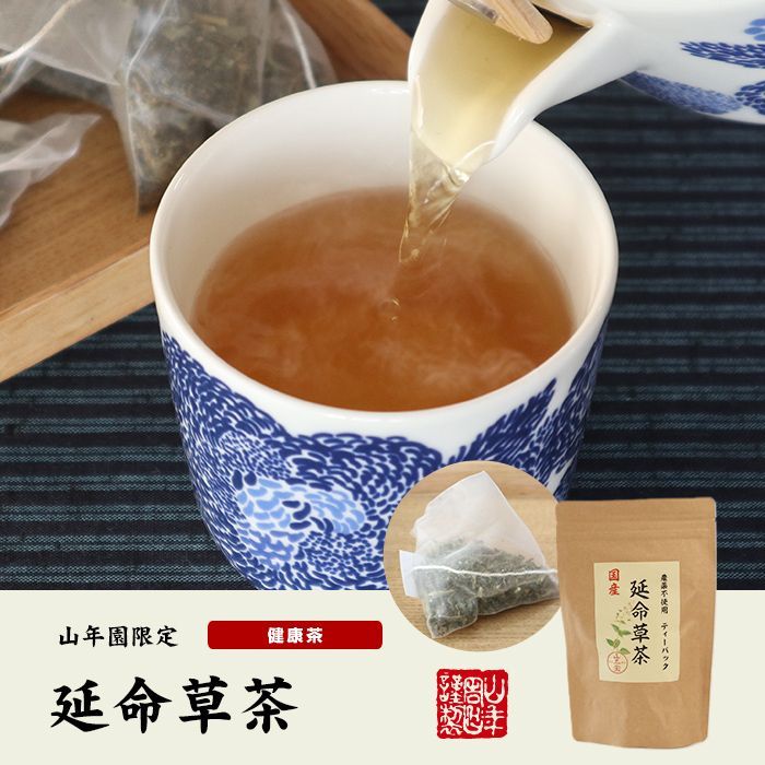 国産100% 無農薬 延命草茶 3g×15パック ティーパック ティーバッグ シソ科ヒキオコシ 送料無料 健康茶 妊婦 ダイエット セット ギフト プレゼント お歳暮 御歳暮 プチギフト お茶 2024 内祝い お返し