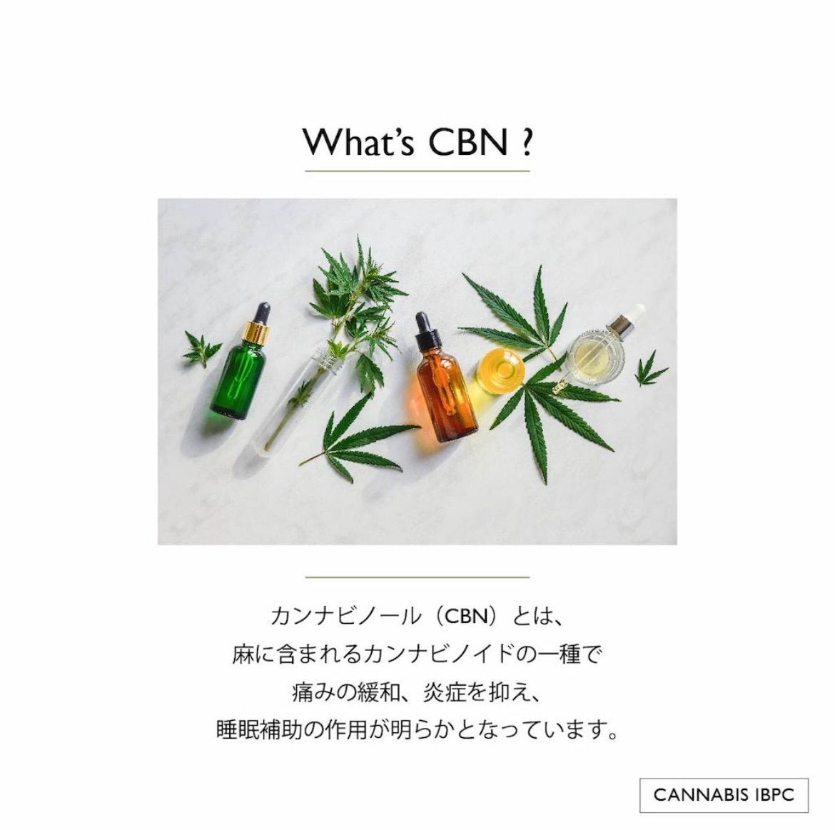 CBD】 CBNジョイント 10本セット - リラクゼーショングッズ