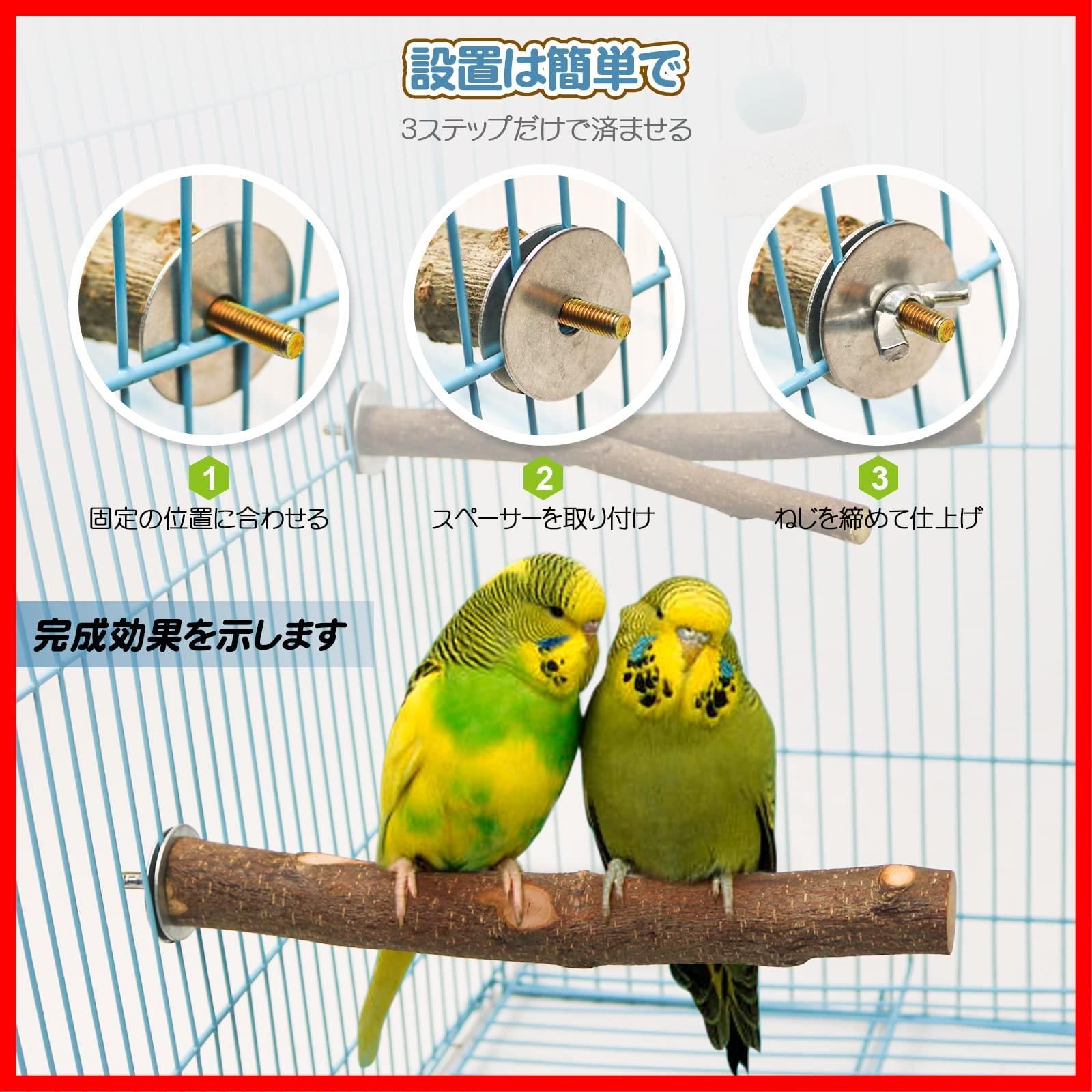 林檎の止まり木セットオカメ～中型インコ - 鳥用品