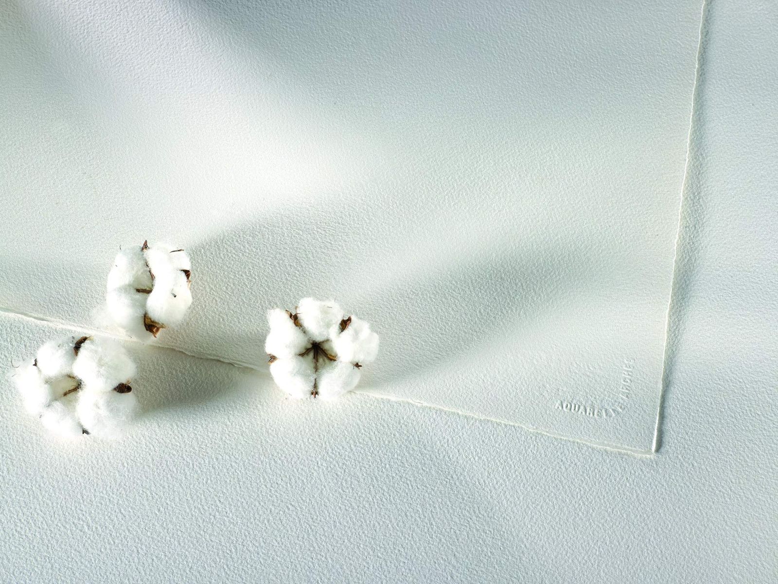 ナチュラルホワイト