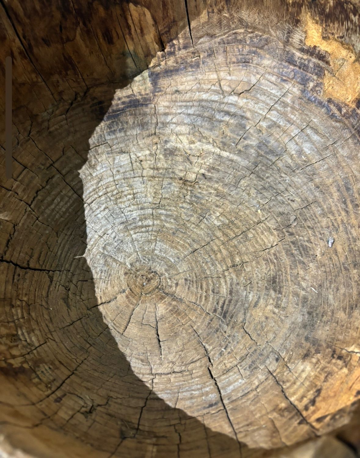 セット売り 臼 杵 木製 うす きね 餅つき 正月 季節 置物 天然木 レトロ アンティーク SKLAD-KIRPICHA_RU