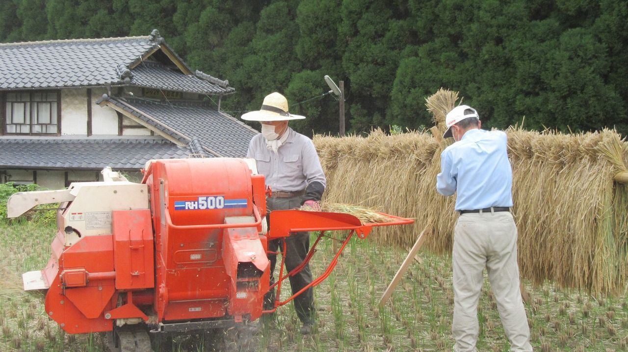 掛け干し 無化学肥料