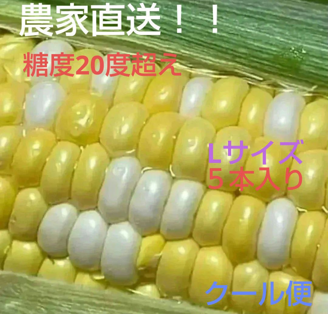 ☆りんごちゃん様専用です！！ - メルカリ