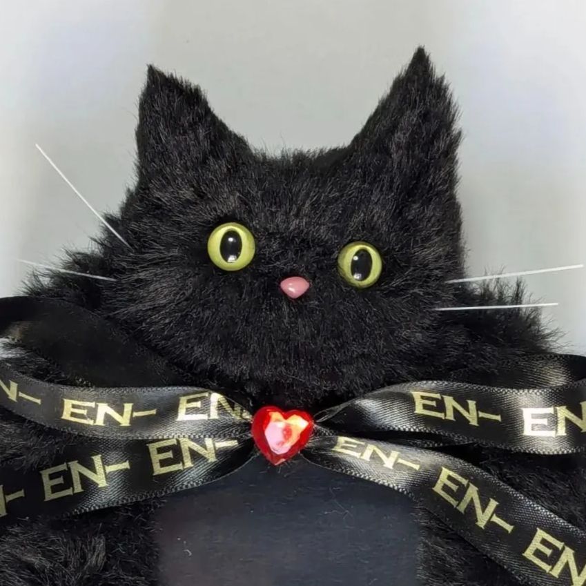 黒猫　トレカ ENHYPENモチーフ コウモリチックな黒猫ちゃん トレカケース