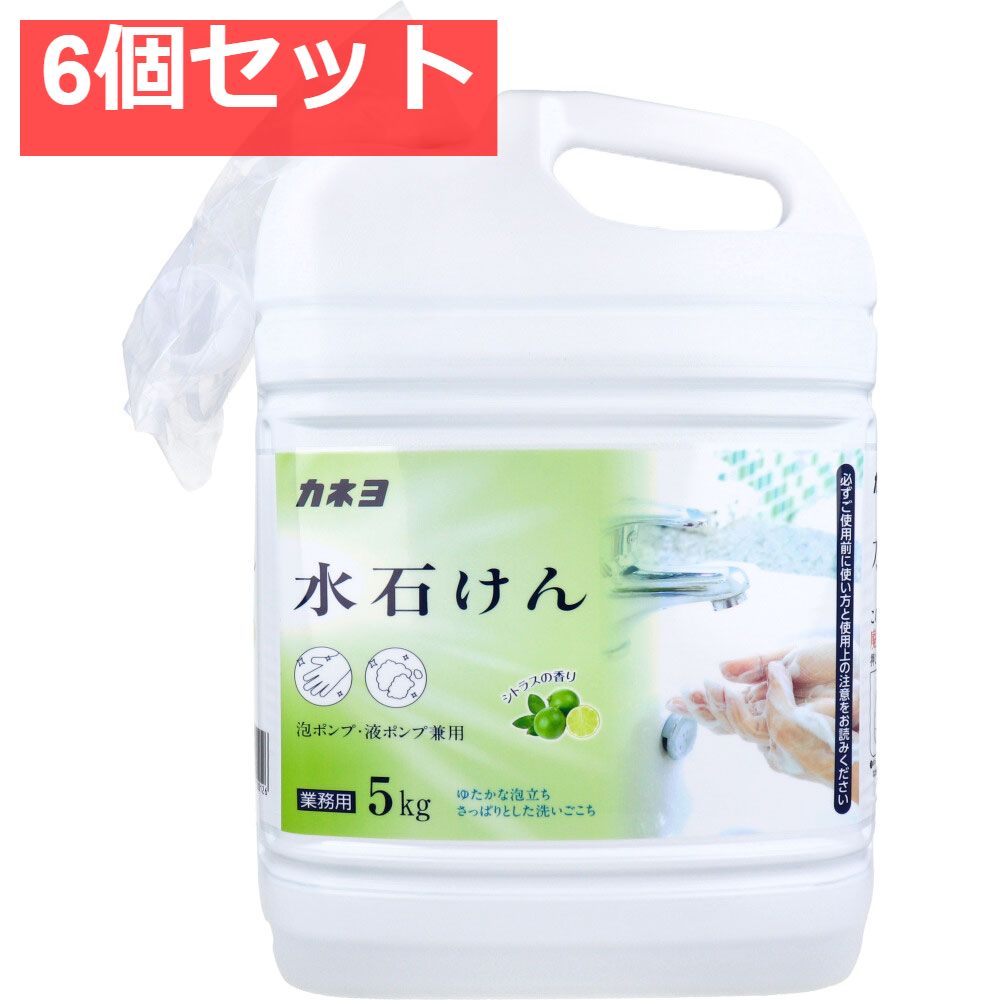 業務用 水石けん 泡ポンプ 液ポンプ兼用 シトラスの香り 5kg 6個セット