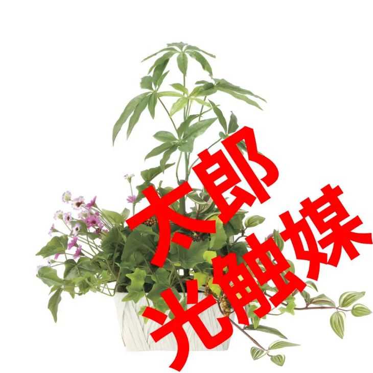 光触媒 人工観葉植物 ウォールグリーン フェイクグリーン アジアン風