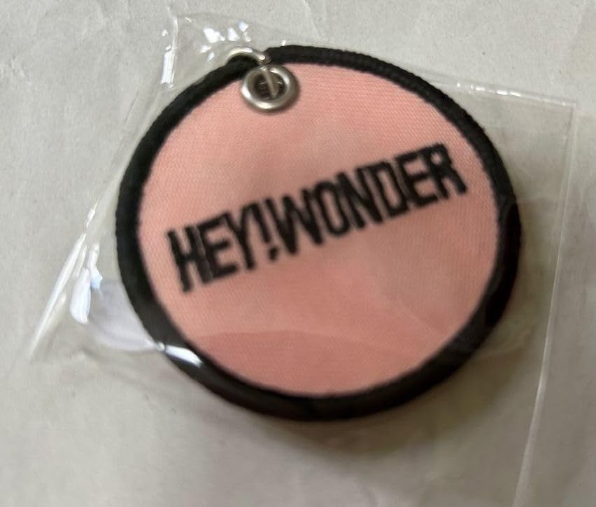 ザ・クロマニヨンズ HEY! WONDER 2024 キーホルダー ワッペン