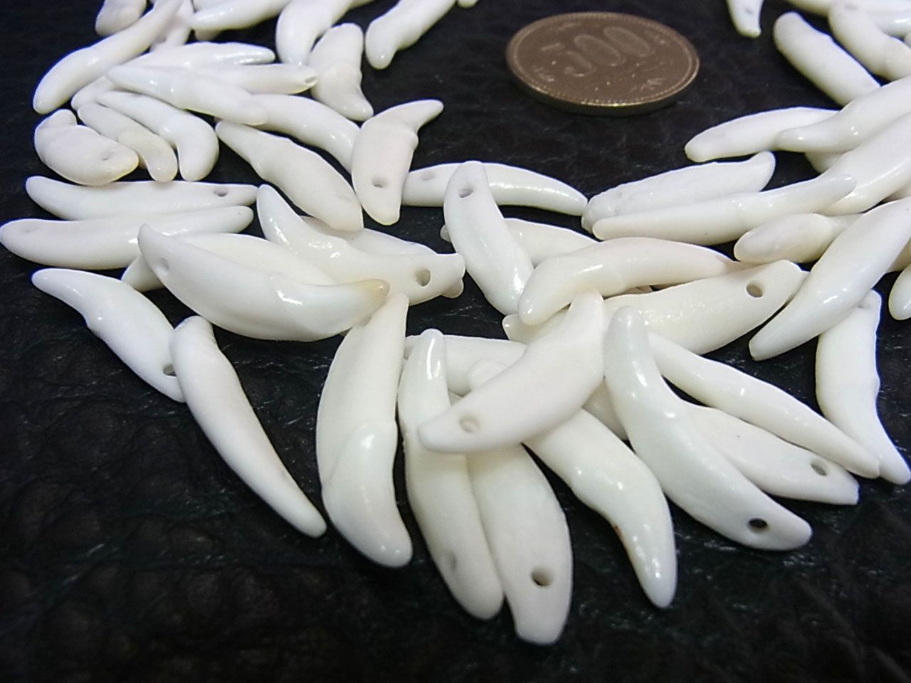 コヨーテの犬歯　50本セット（Sサイズ） コヨーテの犬歯 50本セット（Sサイズ） - メルカリ