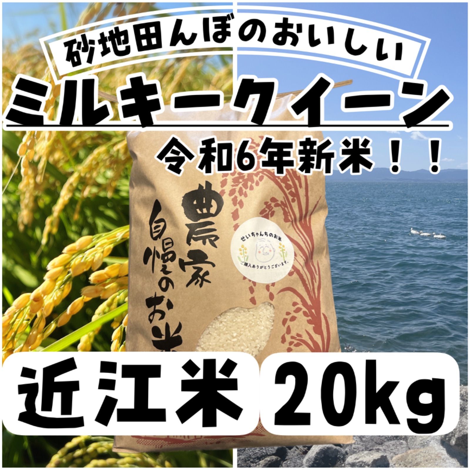 近江米令和6年産ミルキークィーン20kg白米