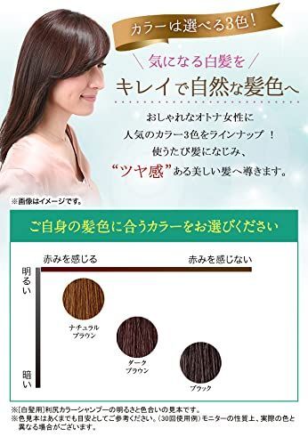 ブラック 利尻カラーシャンプー(ブラック) お徳用サイズ 500ml ＋