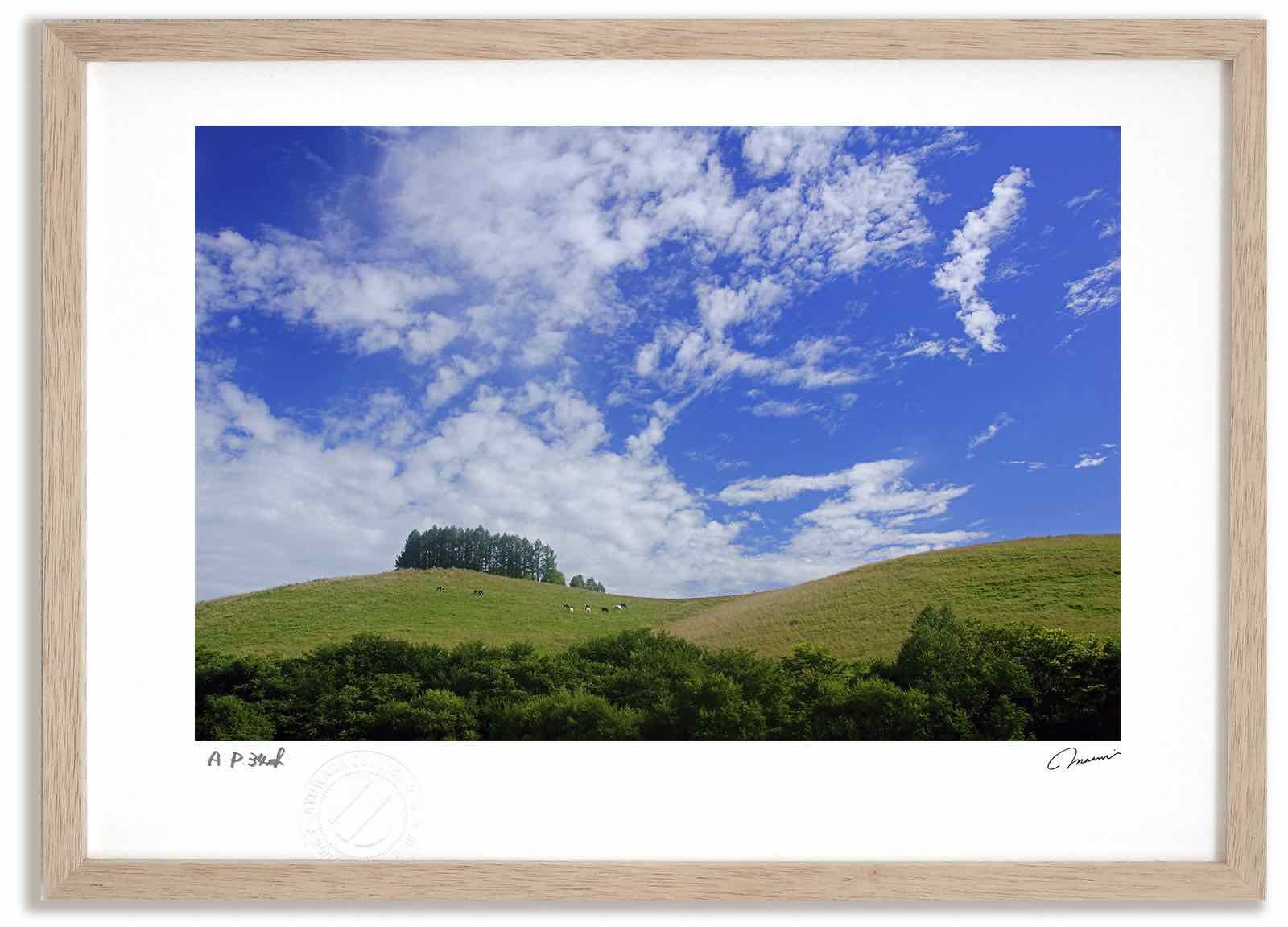 団扇屋さん うちわ文字 なんかちゃん大好き♡プロフ確認必須さまご確認ページ 団扇屋さん うちわ文字 なんかちゃん大好き♡プロフ確認必須さまご確認