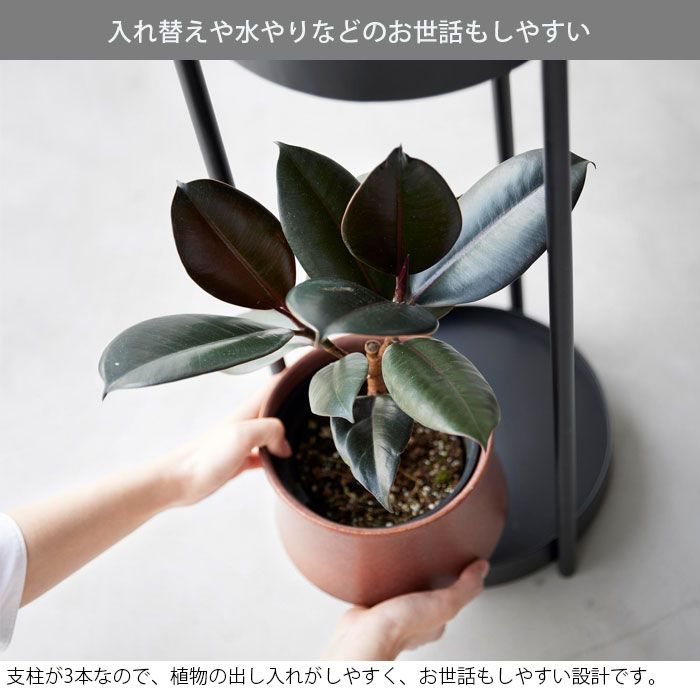 室内 2段