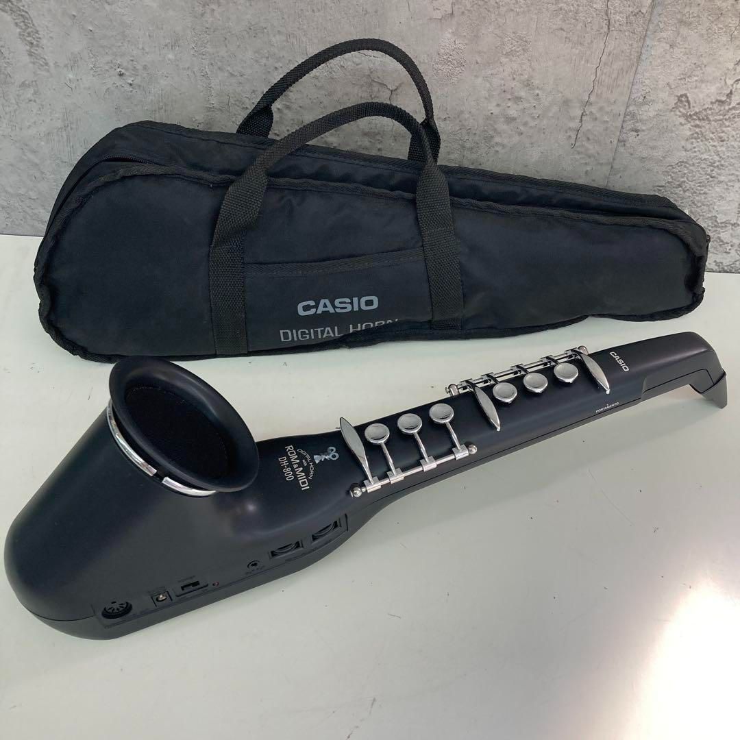 CASIO デジタルホーン サクソフォン DH-800 通電確認済