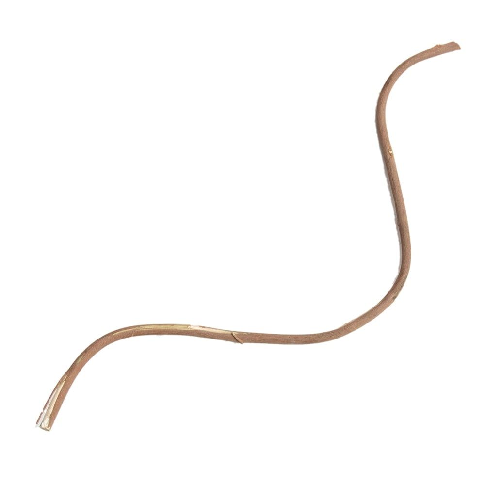 超激安セール開催中です！ チベットの太鼓 チベット仏教の儀式で使われる打楽器 - ガ rnga チベット 打楽器 ネパール 打楽器 打楽器 未開封品