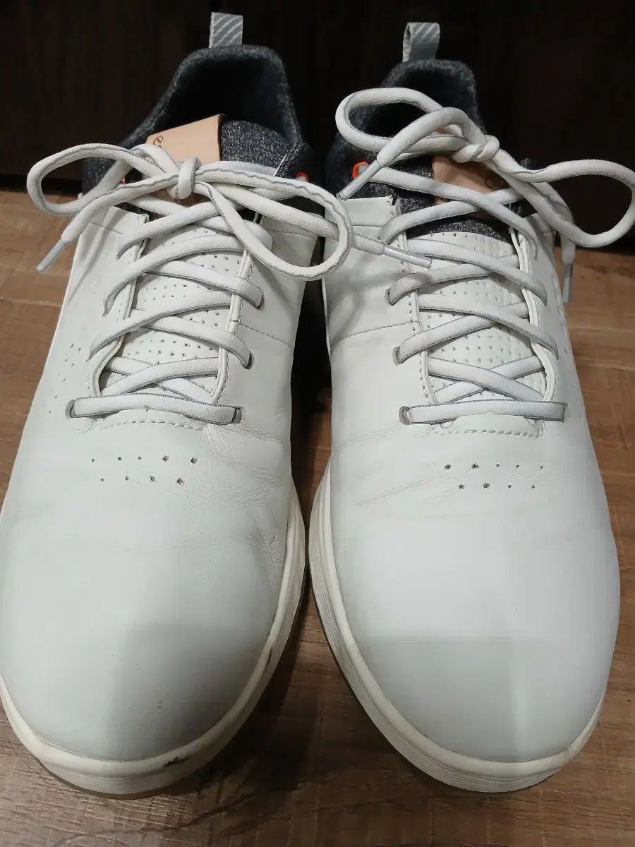 ECHOゴルフシューズ Ecco(エコー) GORE-TEX(ゴアテックス) ゴルフシューズ 275mm