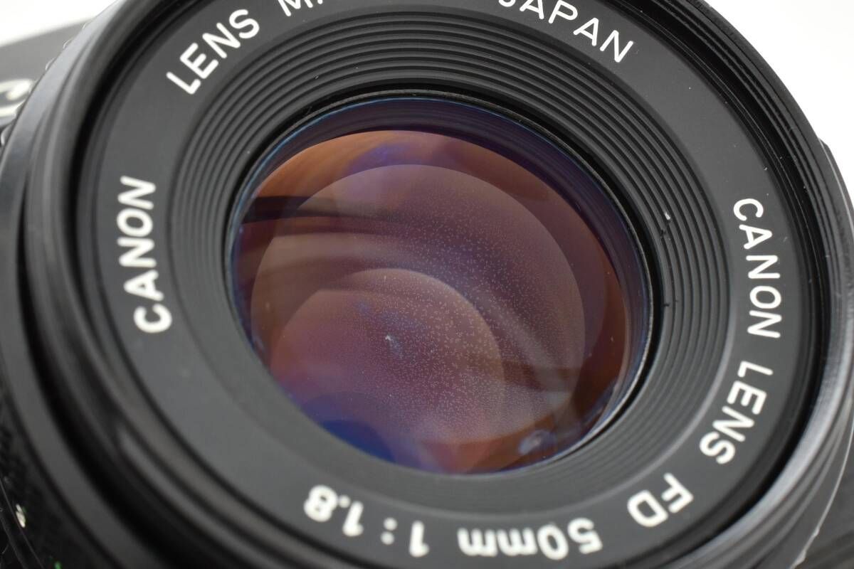 シャッター鳴きなし L