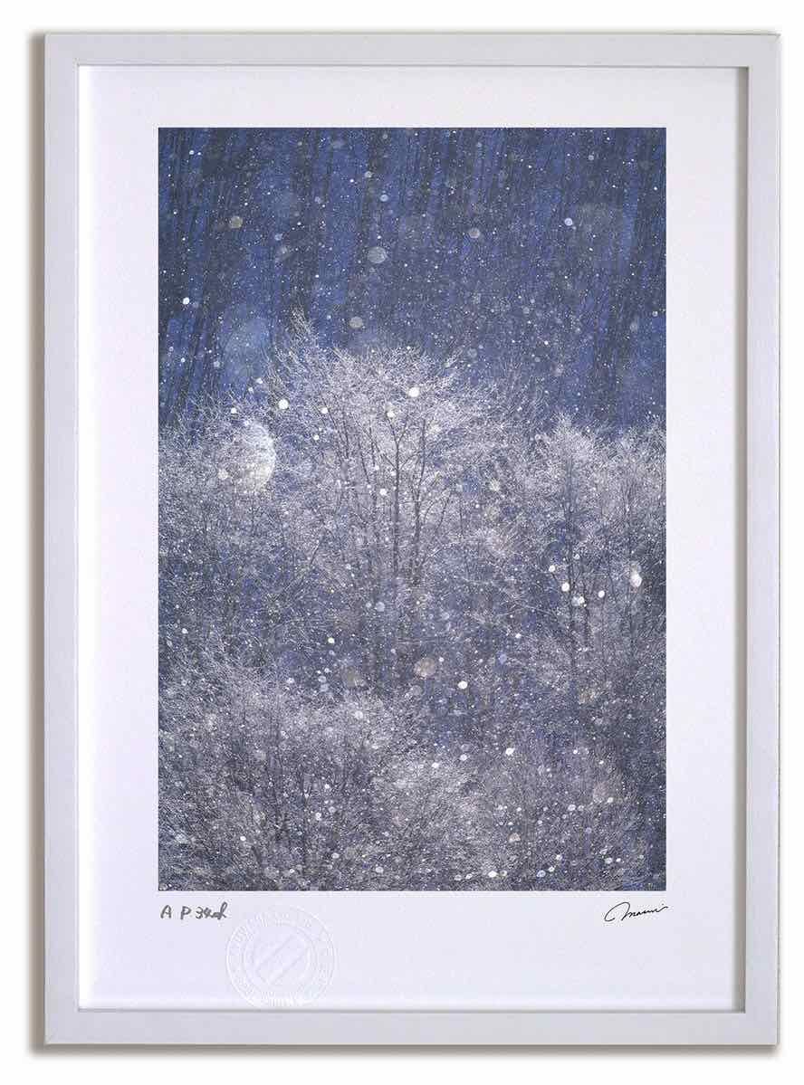 小学館の図鑑NEO 全14巻セット 小学館の図鑑NEO 全14巻セット