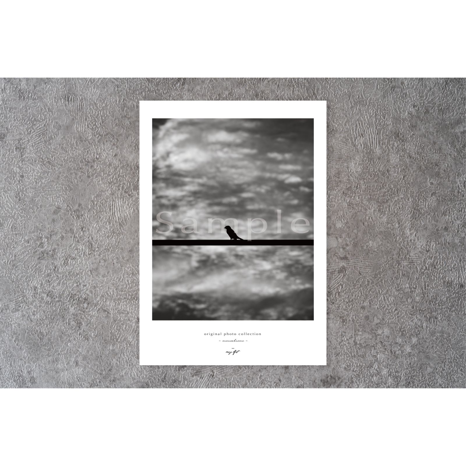 アートポスター】モノクロ 写真 鳥 空 風景 モダン シック インテリア