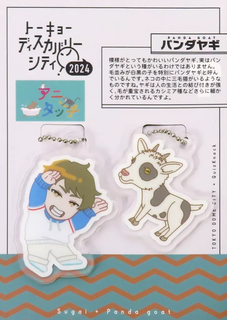 QuizKnock アニタッチコラボ コンプリートセット アクリルキーホルダー