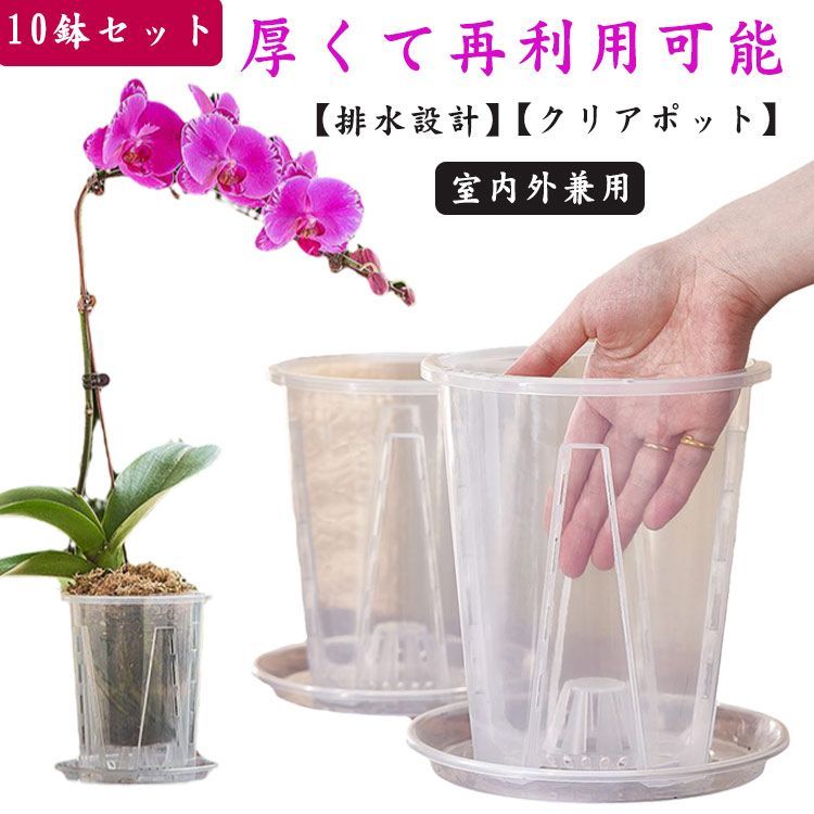 10鉢セット 胡蝶蘭専用 植木鉢 胡蝶蘭の植え替え 鉢 受皿付き 多