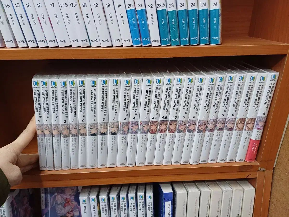 ノーベル小説 ロシア語で時々恥ずかしがり屋で恥ずかしがり屋の席の