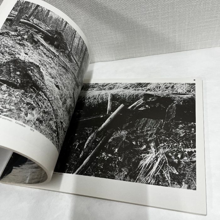 DAVID NASH 樹のいのち 樹のかたち デイヴィッド・ナッシュ 1984