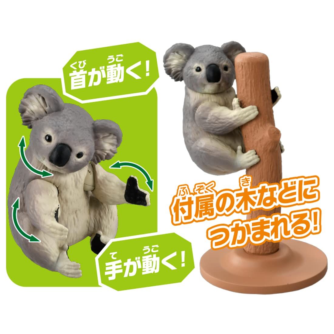 コアラ 91PST0-QRcL._AC_UF350,