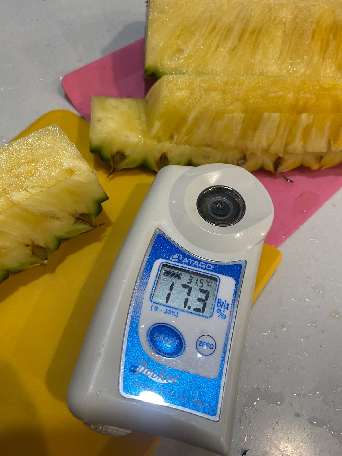 石垣島 ゴールドバレルパイン 約3kg クール便＊新品 - メルカリ