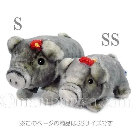 アグー 豚 ぬいぐるみ ぶた 沖縄 お土産 キュート販売 CUTE あぐー