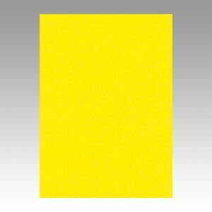 まとめ 色画用紙 文運堂 ニューカラーＲ レモン 10-319 4902681813190 1本 ×8セット