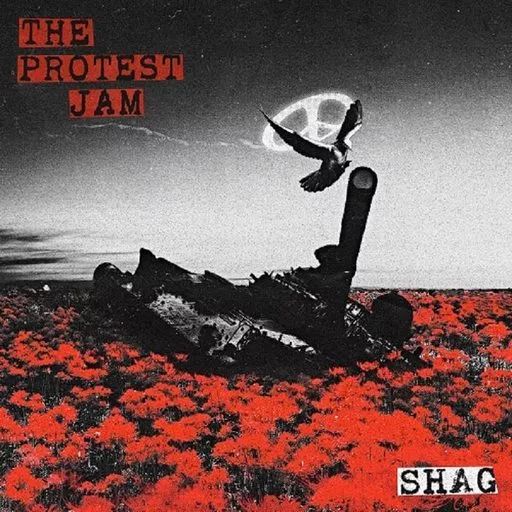 中古】邦楽CD THE PROTEST JAM / SHAG(SHM-CD) - メルカリ