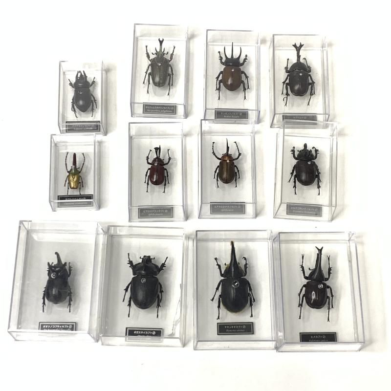 ディアゴスティーニ　世界の昆虫　全64種 + 標本箱付き 世界の昆虫 DATA BOOK デアゴスティーニ 原色日本昆虫図鑑