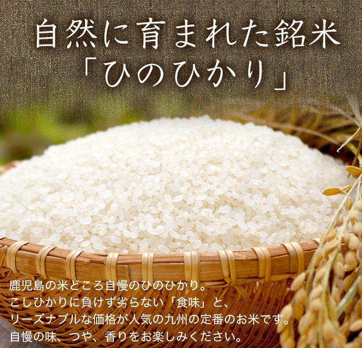 令和6年度 鹿児島産 ひのひかり 米10キロ 5キロ2個 お米 単一