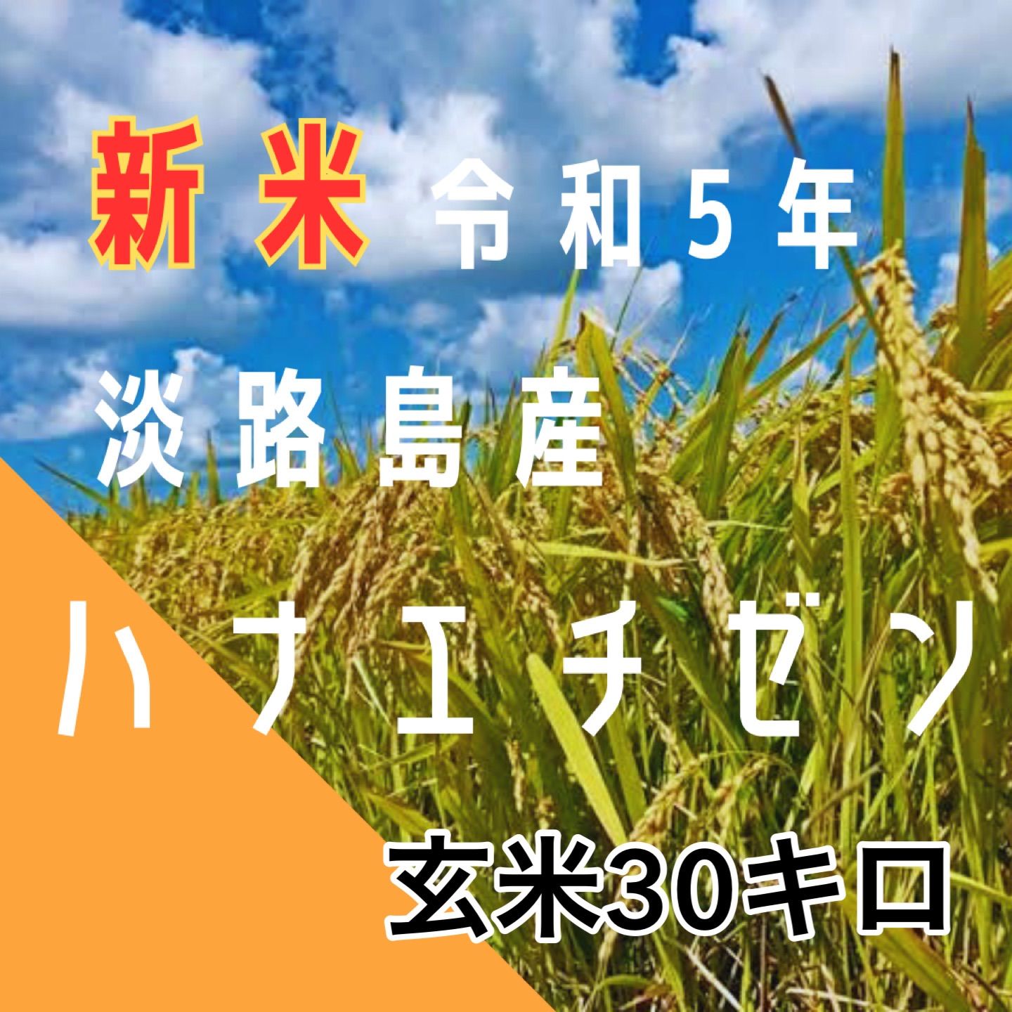 5kg新米 令和5年 産 ハナエチゼン 玄米30キロ 淡路島 精米小分け可