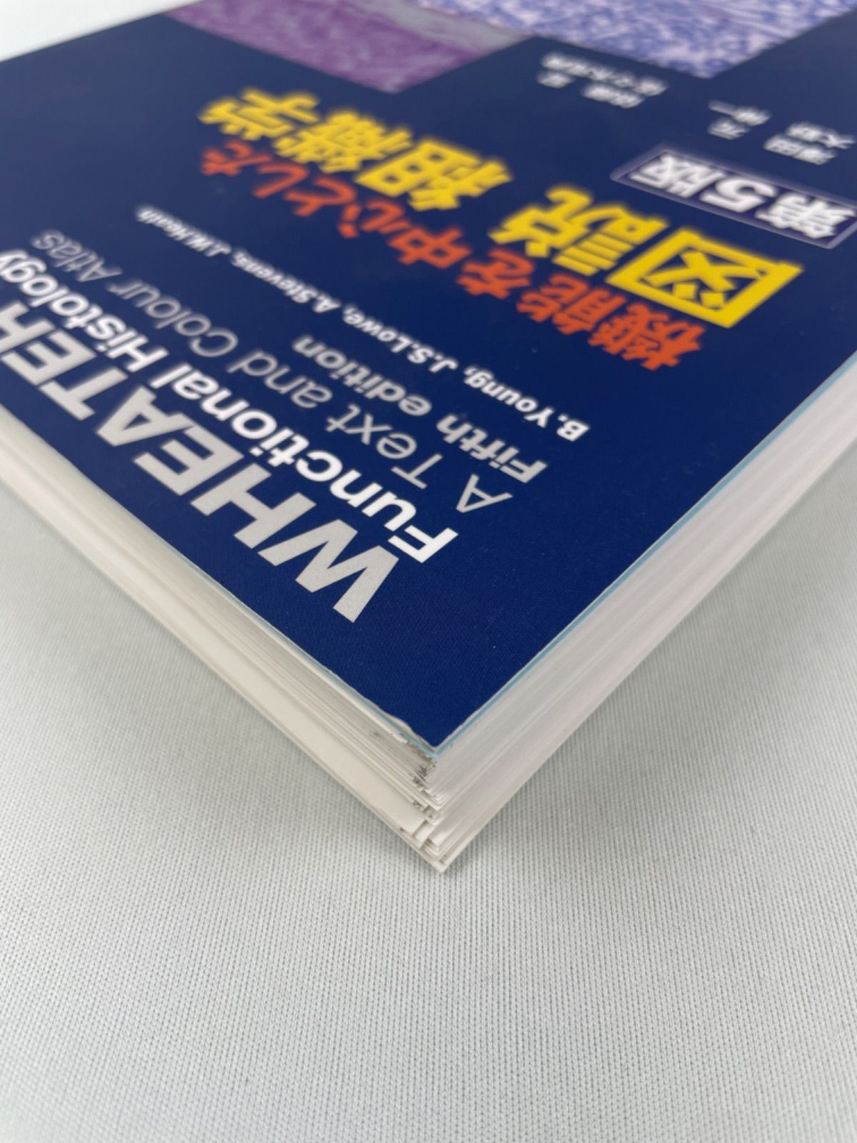 機能を中心とした図説組織学 - 健康・医学