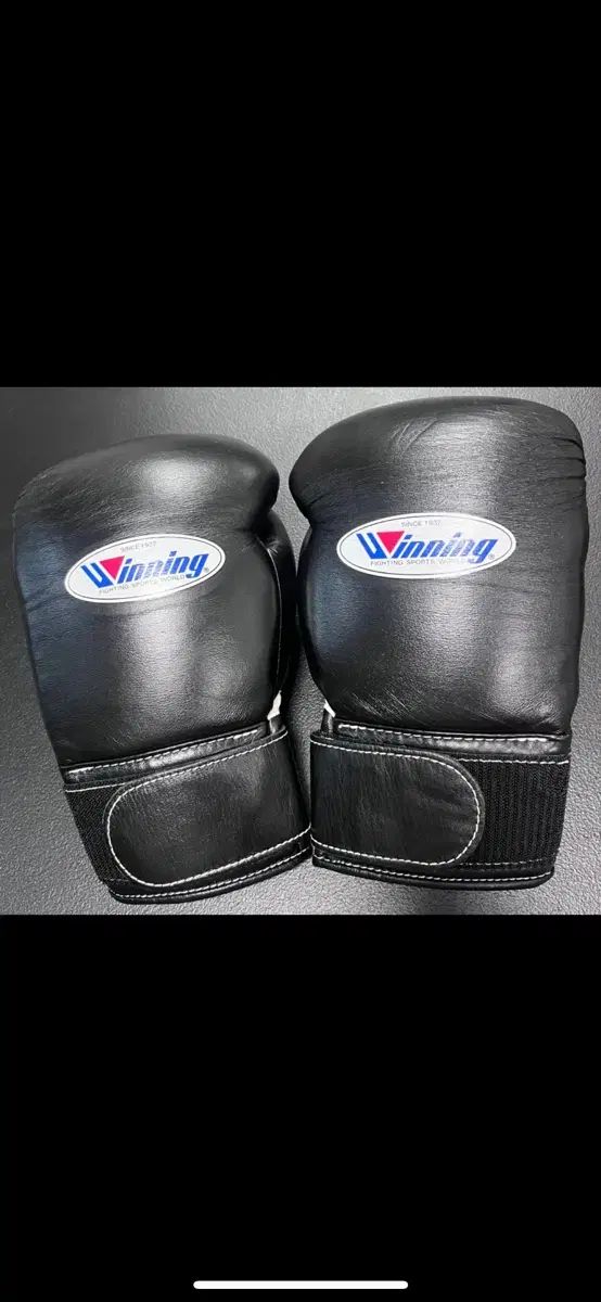 カンペオン ボクシンググローブ 12オンス 白 ボクシンググローブ