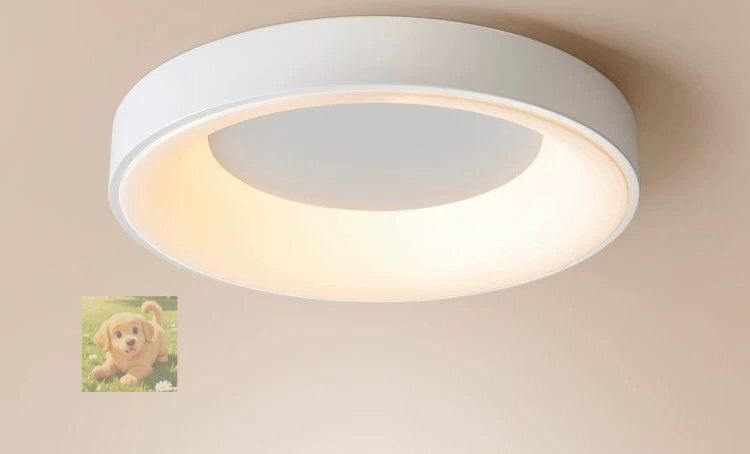 シーリングライト 照明器具 インテリア おしゃれ モダン 天井照明 ペンダントライト リビング照明 居間ライト 無 調光 LED対応 50cm