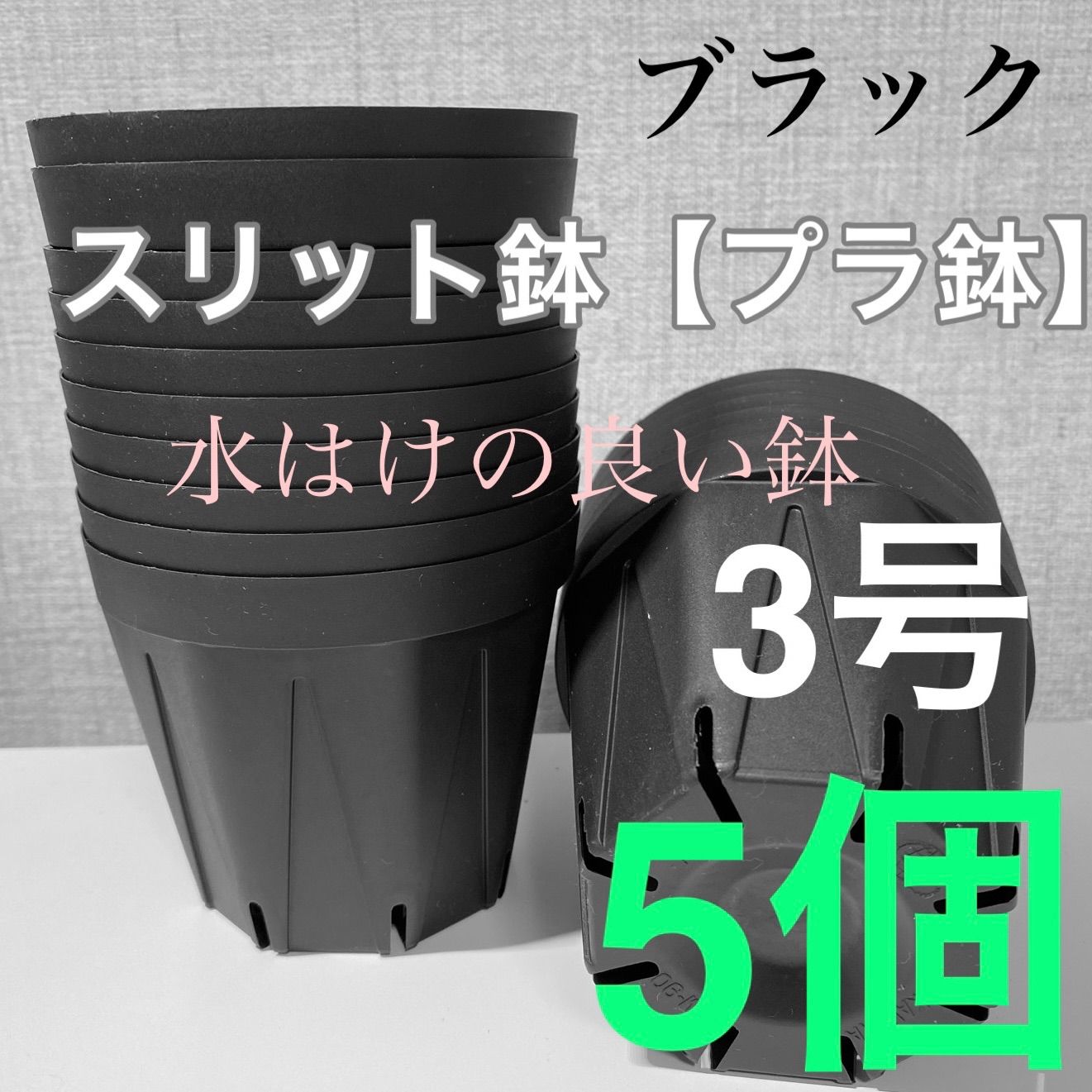 ごんた✴︎ メルカリ便発送‼︎　リップルエフェクト　鉢付き発送‼︎ レア株】リップルエフェクト 鉢ごとメルカリ便発送 発根済み