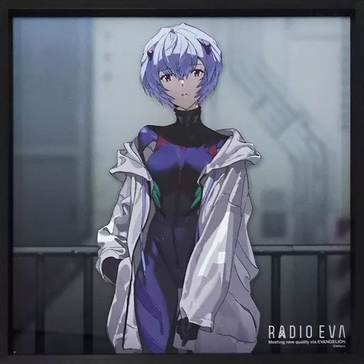雑貨　アヤナミレイ(仮称) Acrylic Art 「エヴァンゲリオン RADIO EVA 849」 中古】雑貨 アヤナミレイ(仮称) Acrylic Art 「エヴァンゲリオン