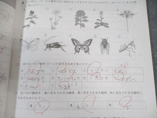 早稲田アカデミー 小5 夏期講習会 国語/算数/理科/社会 計4冊 035M2D