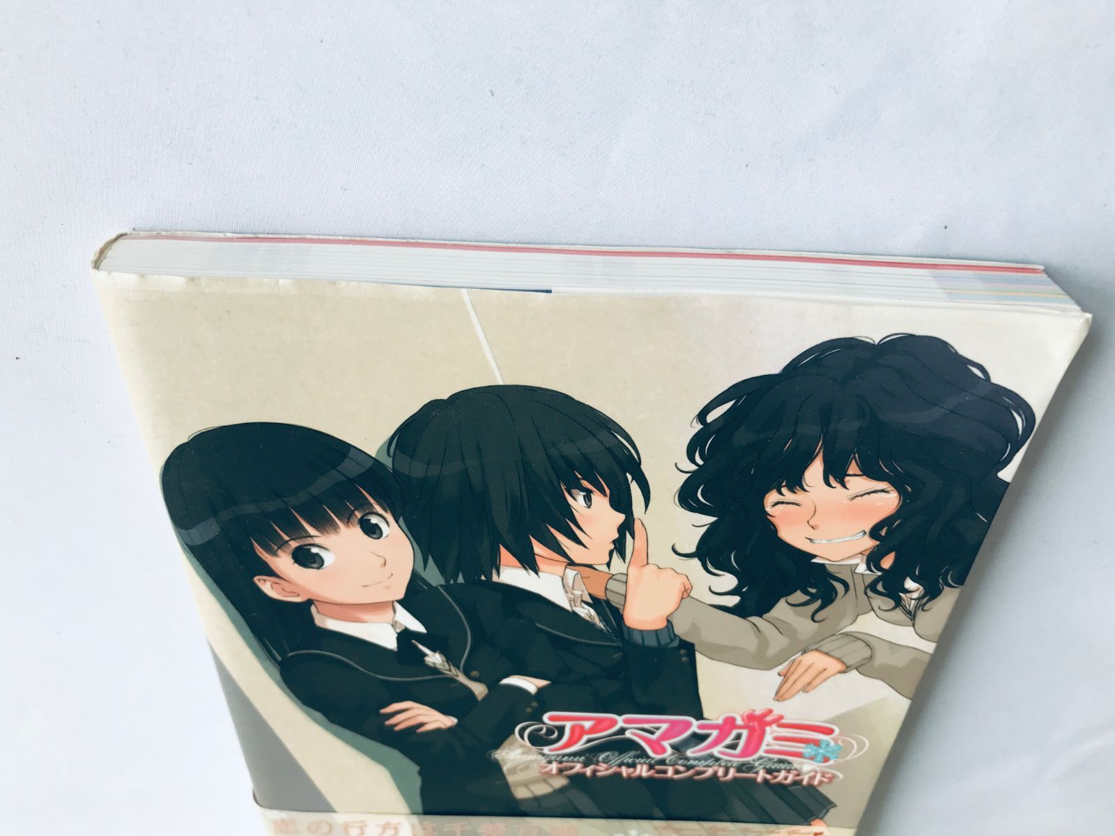 アマガミ オフィシャルコンプリートガイド アマガミ オフィシャルコンプリートガイド PS2 PSP PSVita 攻略