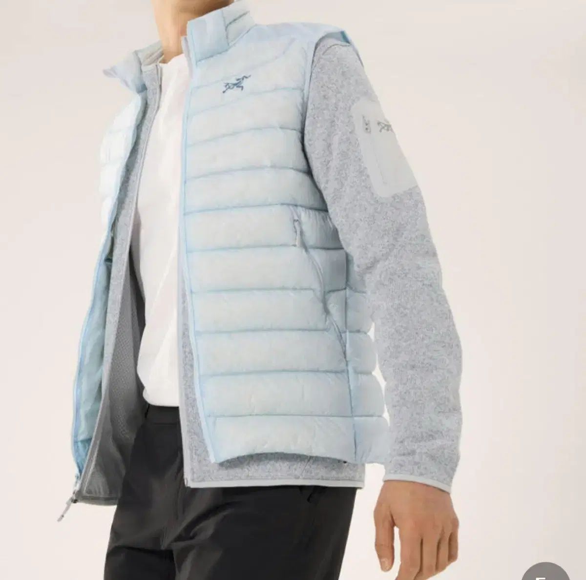 ARC'TERYX(アークテリクス) セリウム ベスト L 新品 - メルカリ