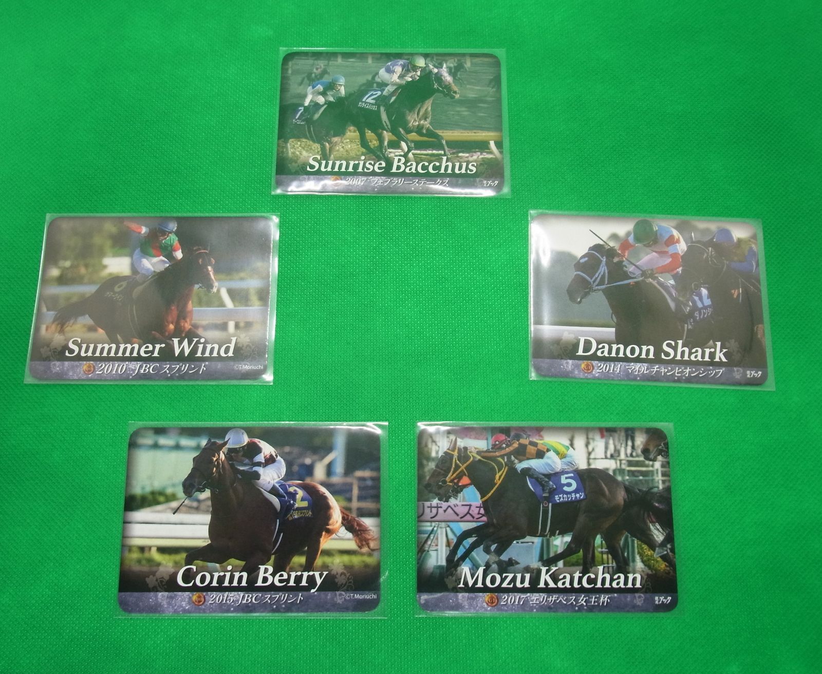 HIDAKA HORSE CARDS 日高ホースカード 競馬 トレカ 競走馬-