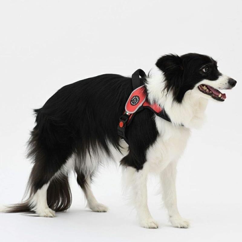 Tre Ponti トレポンティー Primo プリモ 犬用 ハーネス 大型犬 イタリア製 (Mサイズ, ブラック) | Tre Ponti トレポンティー Primo プリモ 犬用 ハーネス 大型